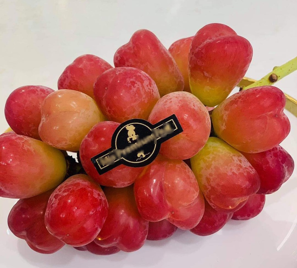 Nhà giàu Việt phát sốt với nho Nhật hình trái tim giá 2 triệu đồng/kg - 2 Nhà giàu Việt phát sốt với nho Nhật hình trái tim giá 2 triệu đồng/kg - 2