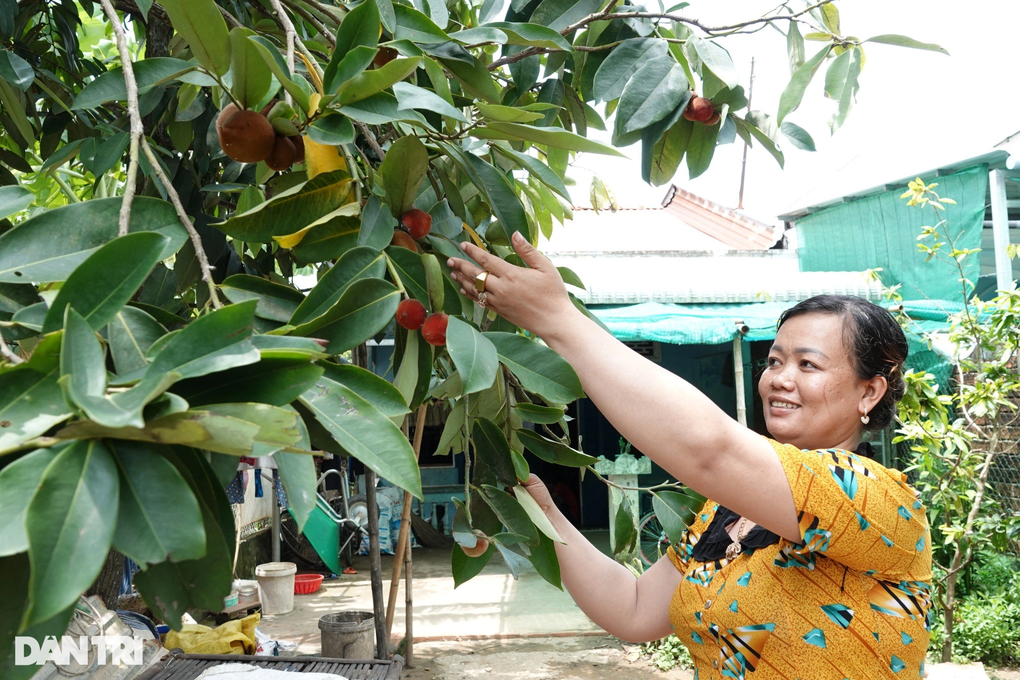 Woman earns hundreds of millions of dong every year by growing strange peaches - 1