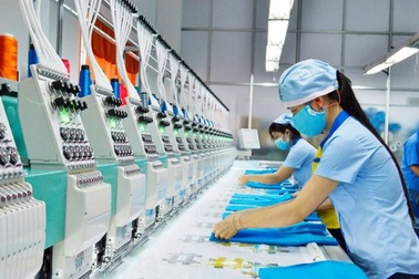 Chính phủ đề xuất không áp dụng hồi tố để xử lý bất lợi cho doanh nghiệp