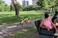 Clip: Nhiều người “bỏ chạy” khi thấy robot đi tuần trong công viên