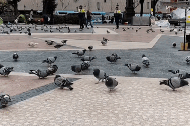 “Làm phim” bằng Galaxy S9: Chuyện trong tầm tay