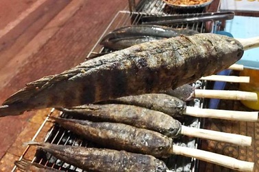 Về xứ “Công tử Bạc Liêu” thưởng thức cá lóc nướng mía