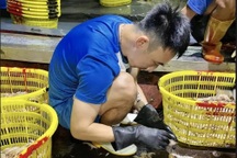 Hình ảnh cầu thủ Than Quảng Ninh… nhặt tôm lên báo nước ngoài