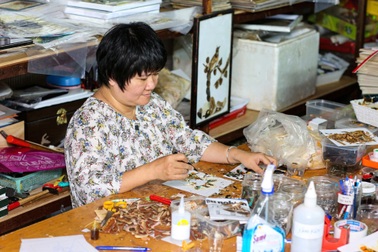 Người phụ nữ kém may mắn biến cánh bướm thành tranh đa sắc màu