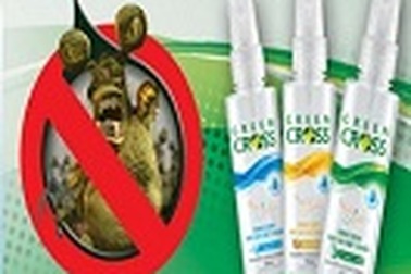 Để chuyến xe buýt về quê đón Tết thú vị hơn