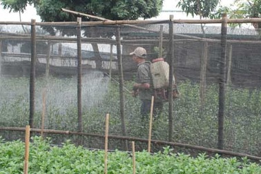 Dân ta quá coi thường tính mạng