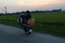 Những thanh thiếu niên thích tụ tập đi xe máy bằng một bánh