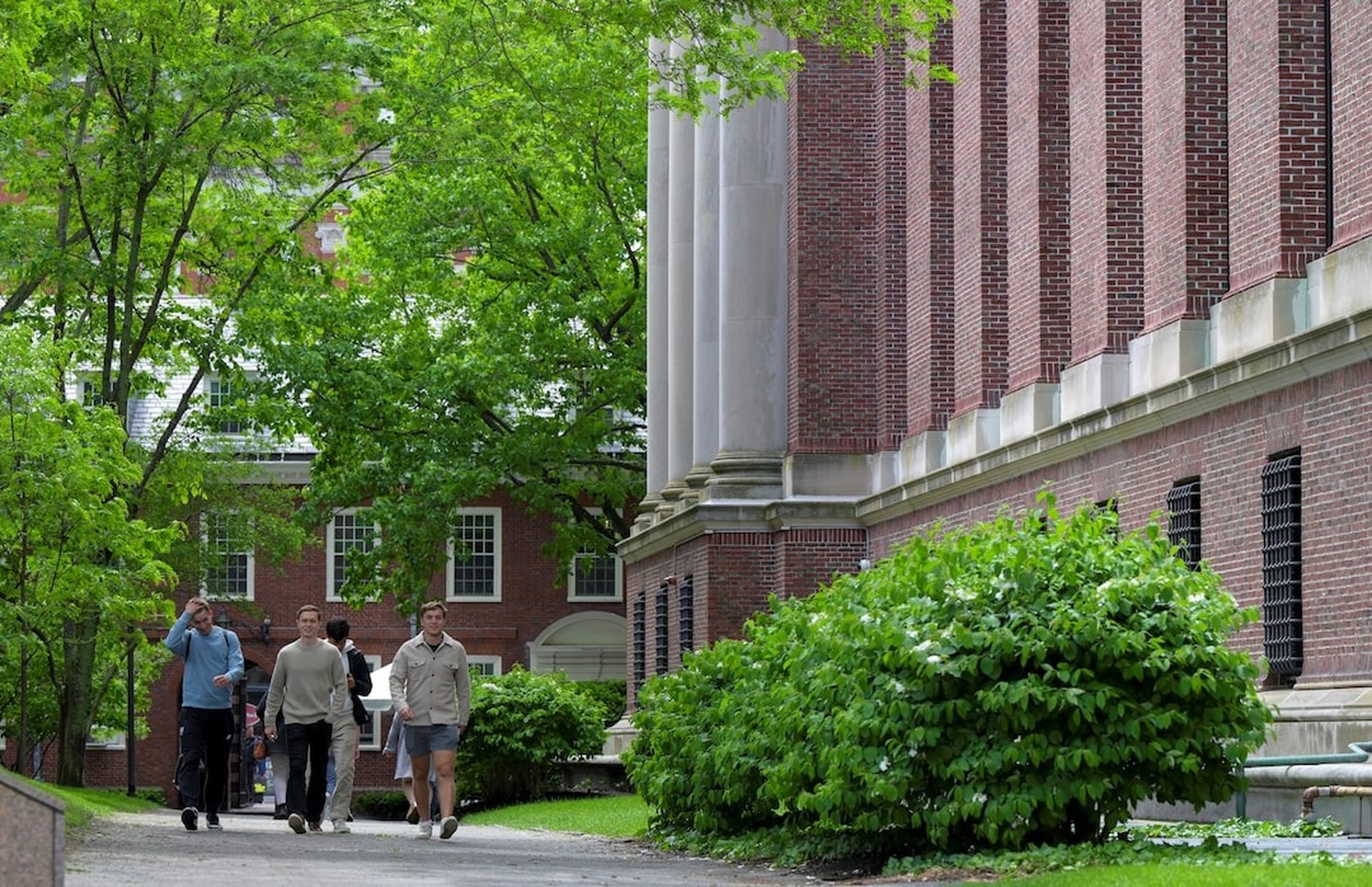 Động thái của Trung Quốc khi Harvard bị cấm tuyển sinh viên quốc tế - 1 Động thái của Trung Quốc khi Harvard bị cấm tuyển sinh viên quốc tế - 1