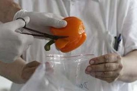 WHO: Dịch tiêu chảy là do chủng E.coli mới cực độc