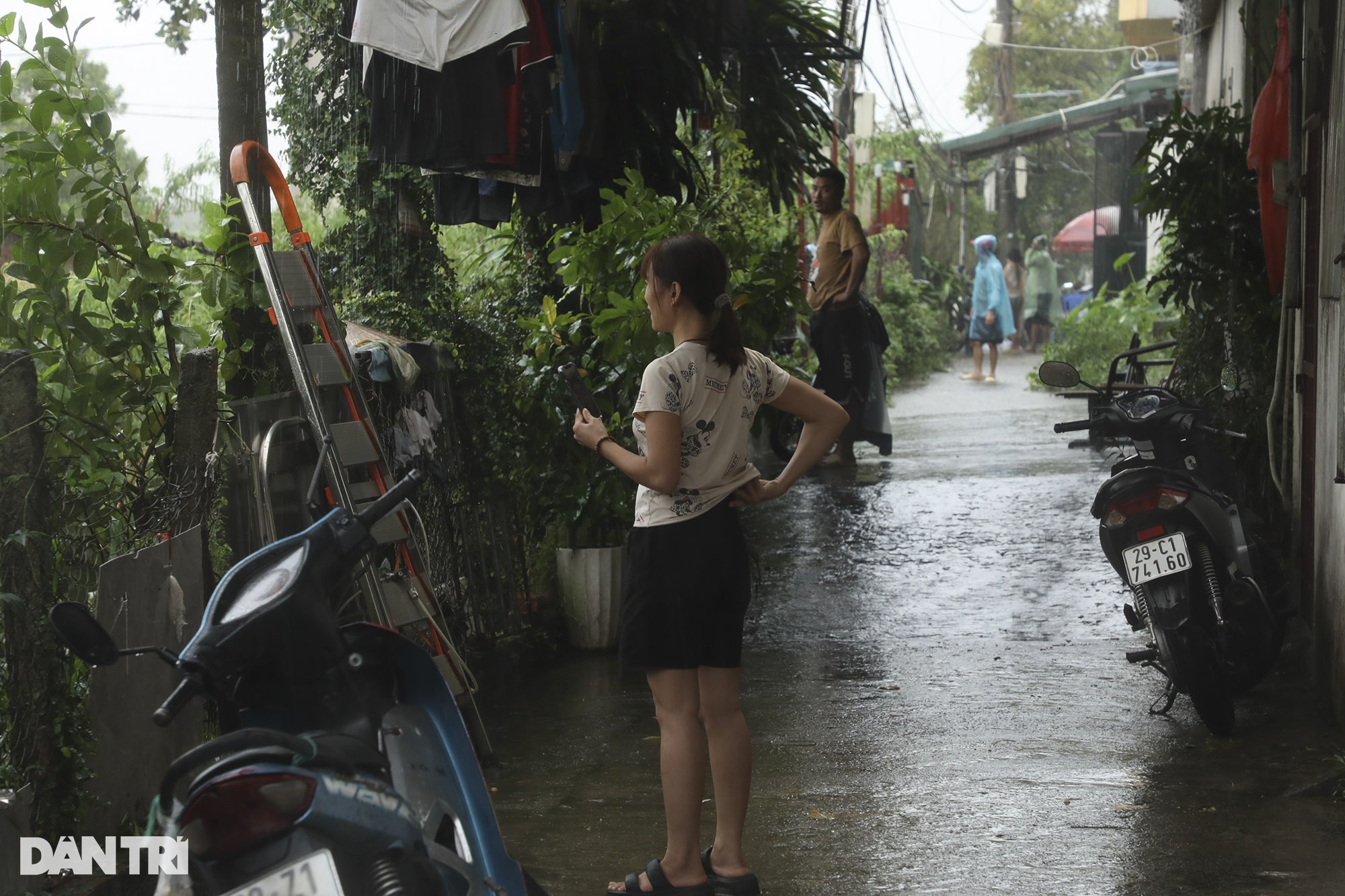 View - Lũ sông Hồng vượt báo động 2 nhấn chìm vùng đào Phú Thượng | Báo Dân trí