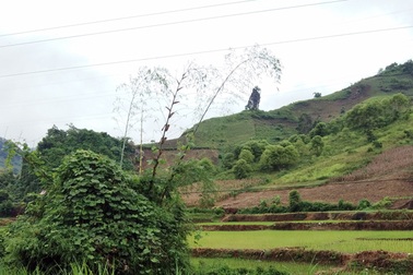 Công nhân điện lực tử vong do chặt bụi tre gần cột điện