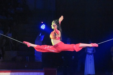 Mãn nhãn với đêm gala xiếc toàn quốc