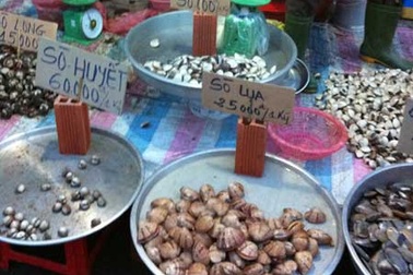 Phát hiện vi rút độc hại trong hải sản tươi sống