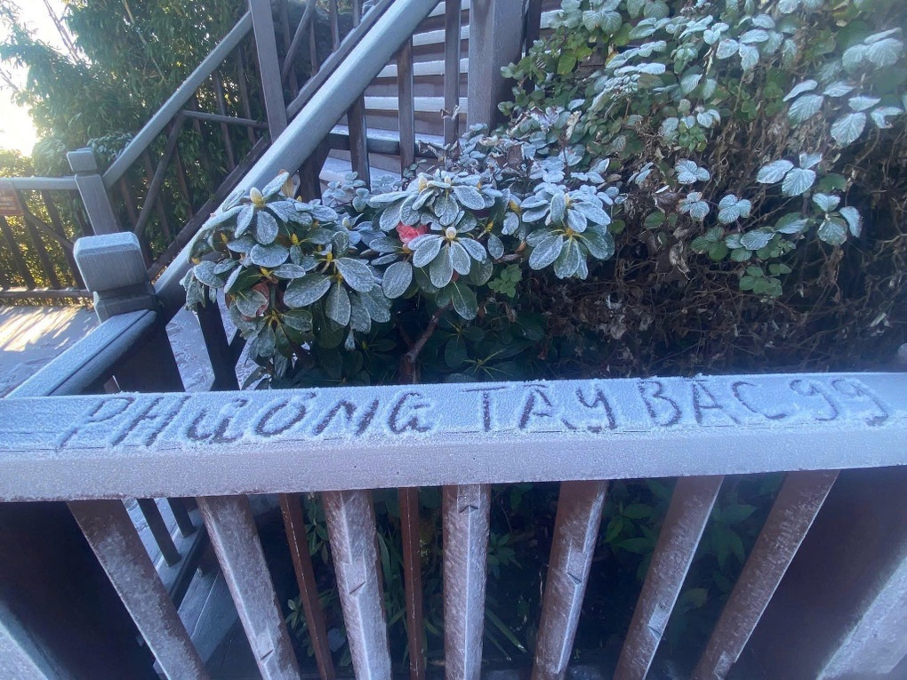 Đỉnh Fansipan xuất hiện băng tuyết mỏng - 2