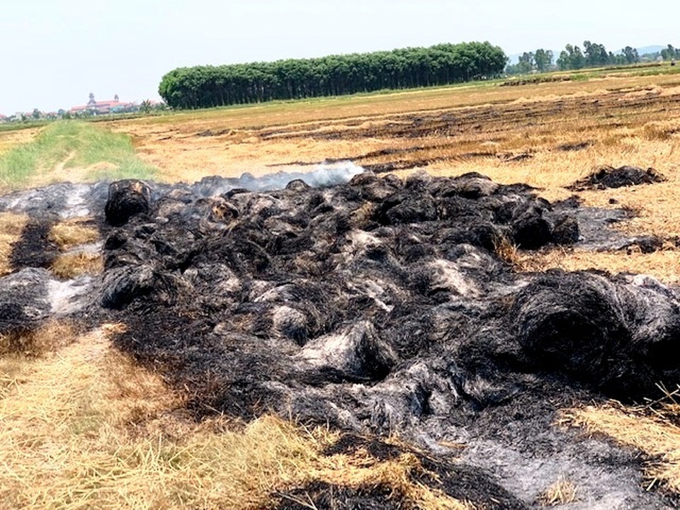 Vụ phóng hỏa đốt cả cánh đồng, chỉ nhận án treo: Bản án bị kháng nghị - 1