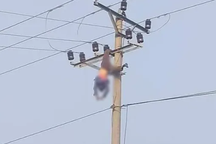 Trèo lên cột điện uống rượu, người đàn ông tử vong sau tiếng nổ lớn