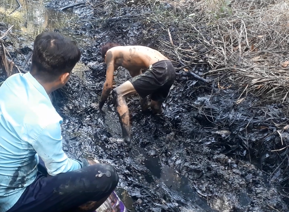 Háo hức tát ao, bắt cá ngày Tết - 4