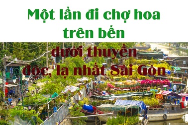 Cận cảnh chợ hoa trên bến dưới thuyền độc nhất Sài Gòn