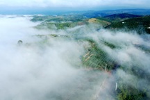 Phạt 3 người chèo kéo du khách tại điểm săn mây Đà Lạt