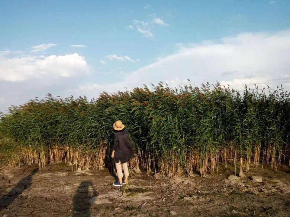 Chán cuộc sống phố thị, cô gái lên núi làm căn nhà nhỏ ngập hoa lá - 1