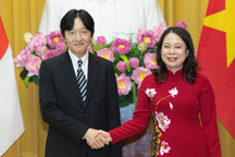 Việt Nam - Nhật Bản mở rộng hợp tác chuyển đổi số, an ninh năng lượng