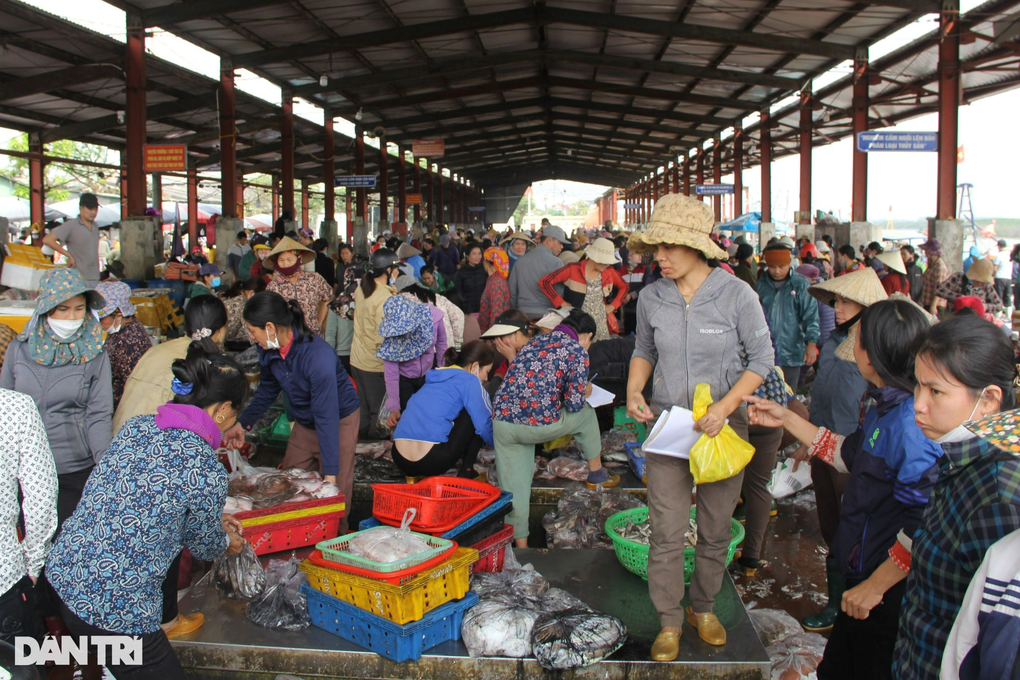 Ngư dân hốt bạc từ những chuyến đi biển cuối năm - 3 Ngư dân hốt bạc từ những chuyến đi biển cuối năm - 3