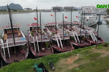 Tàu du lịch mùa Covid-19