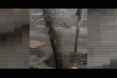 Nước từ đường ống nước sạch bị vỡ phun lên... đen ngòm!