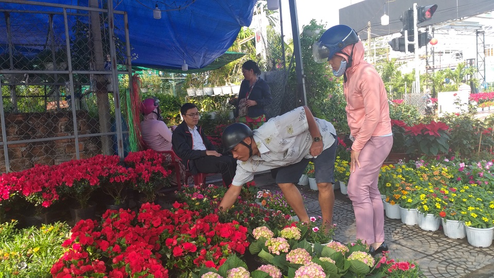 Hoa Tết ngập tràn, khách mua vắng vẻ - 2 Hoa Tết ngập tràn, khách mua vắng vẻ - 2