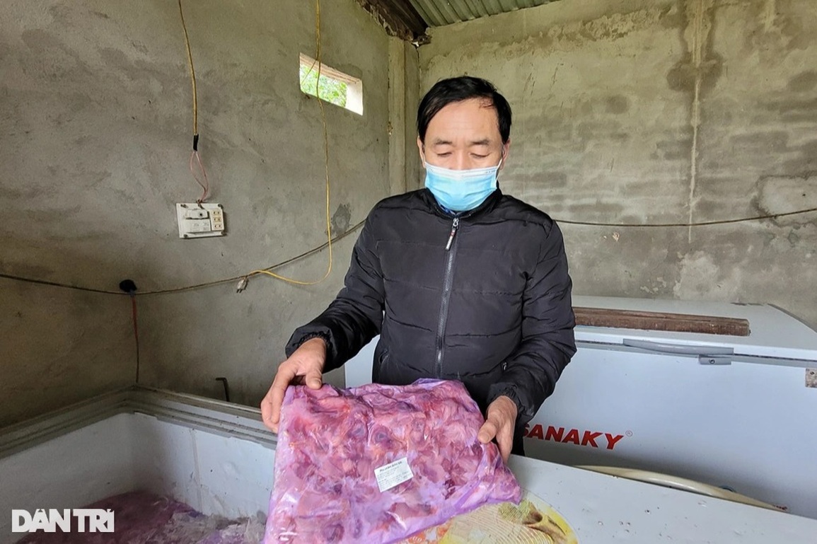 Người đàn ông một mình trông giữ, chăm sóc 11 con hổ - 5 Người đàn ông một mình trông giữ, chăm sóc 11 con hổ - 5
