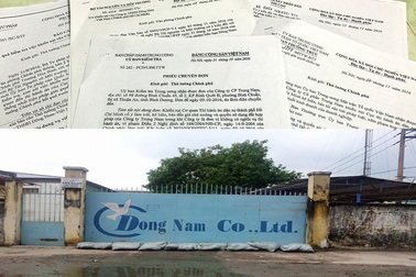 Vụ thi hành án kiểu “kì lạ”: Nhiều dấu hiệu sai phạm bị "lãng quên"?