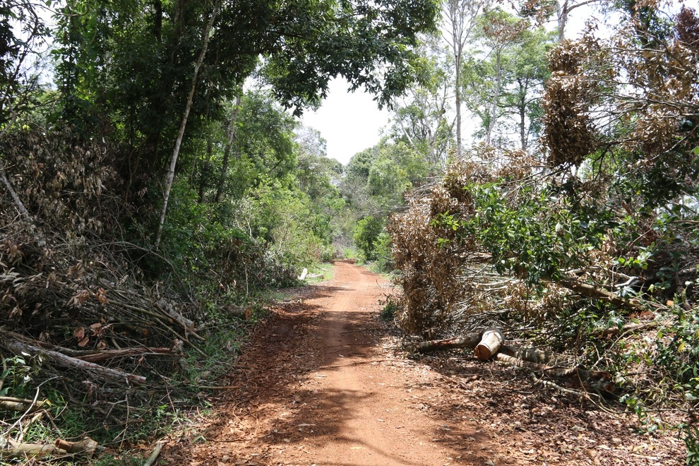 Đăk Nông: Rầm rộ phá rừng để chiếm đất trồng cây, dựng nhà trái phép - 1 Đăk Nông: Rầm rộ phá rừng để chiếm đất trồng cây, dựng nhà trái phép - 1