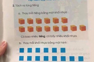 Chế giễu cách đánh vần bằng ô vuông, hình tròn: “Nhiều người hiểu nhầm cách của GS Hồ Ngọc Đại”