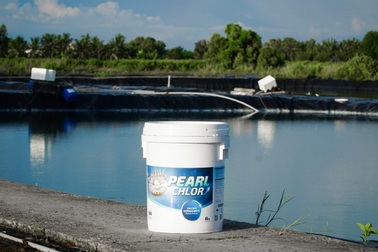 Pearl Chlor - sản phẩm đồng hành cùng bà con nuôi tôm