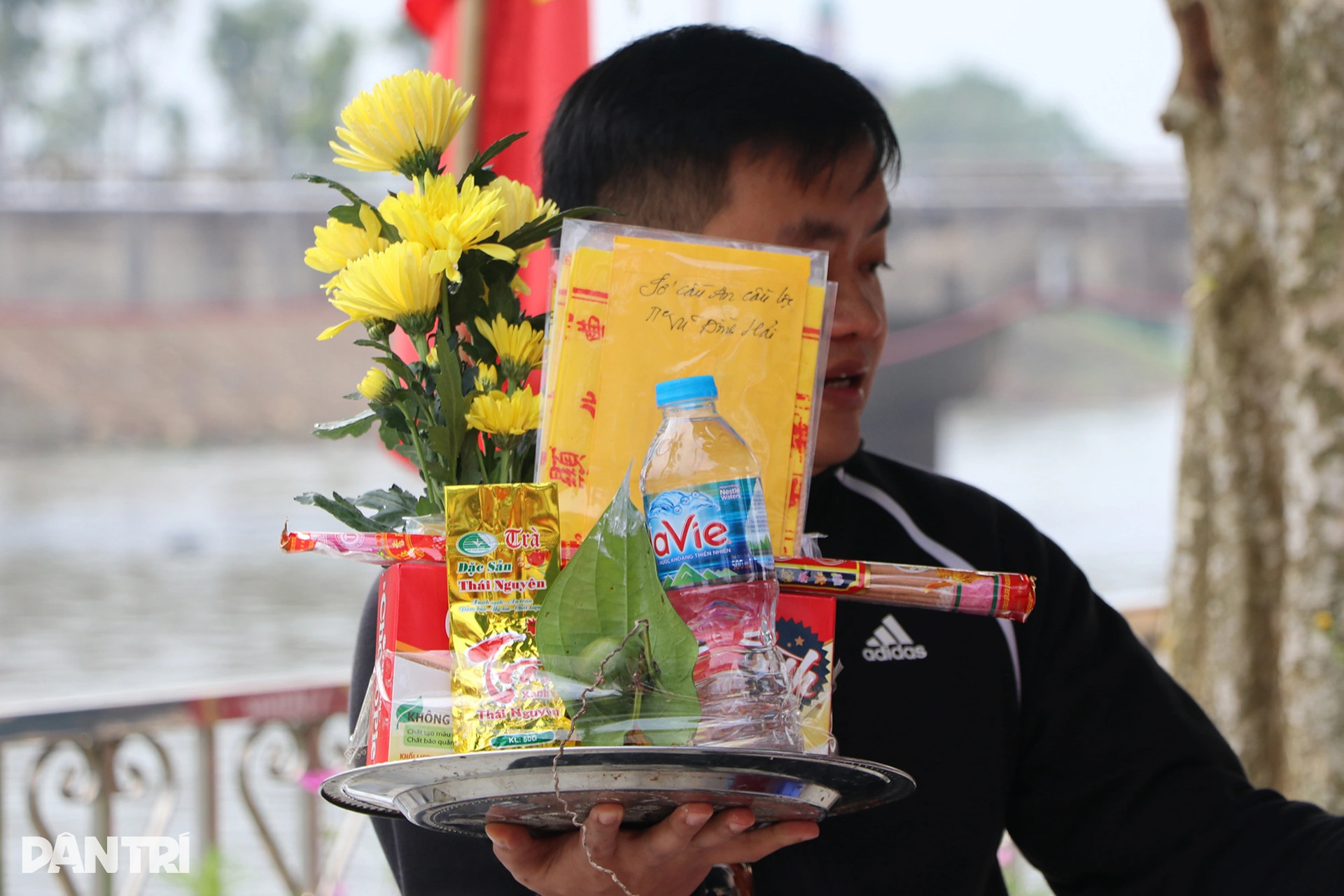Làm giàu với loại cây bán vài nghìn đồng/lá, ra Tết là thời điểm hốt bạc - 11 Làm giàu với loại cây bán vài nghìn đồng/lá, ra Tết là thời điểm hốt bạc - 11