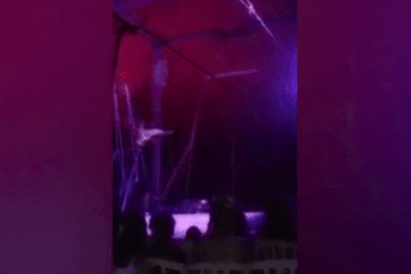 Nghệ sĩ xiếc nhào lộn bị rạn xương chậu sau cú ngã khi đang biểu diễn