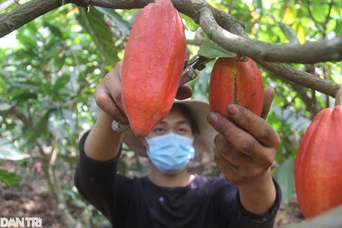 Vì sao lao động Đắk Nông ngại đi làm việc ở nước ngoài? - 2 Vì sao lao động Đắk Nông ngại đi làm việc ở nước ngoài? - 2