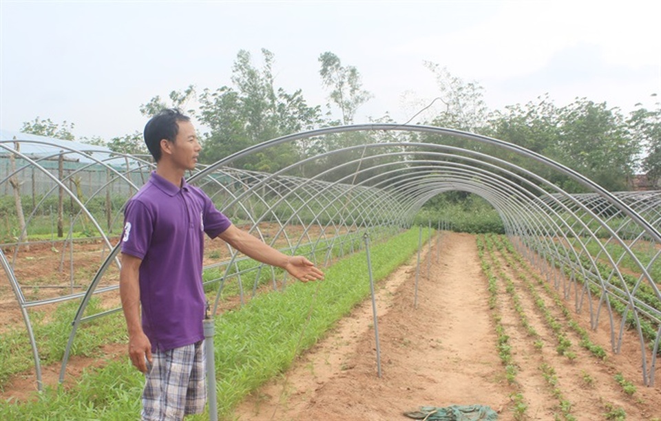 Thạc sĩ nông nghiệp bỏ việc về quê trồng rau sạch thu gần 1 tỷ đồng mỗi năm - 5 Thạc sĩ nông nghiệp bỏ việc về quê trồng rau sạch thu gần 1 tỷ đồng mỗi năm - 5