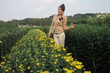 Chùm ảnh: Làng hoa Phù Vân rực rỡ sắc màu             