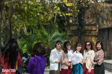 Mê mẩn cùng hoa ban Tây Bắc, người dân thủ đô lơ là phòng dịch Covid-19