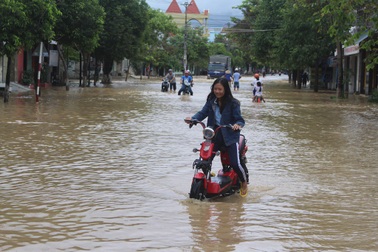 Bình Định, Khánh Hòa cho học sinh nghỉ học tránh bão số 12