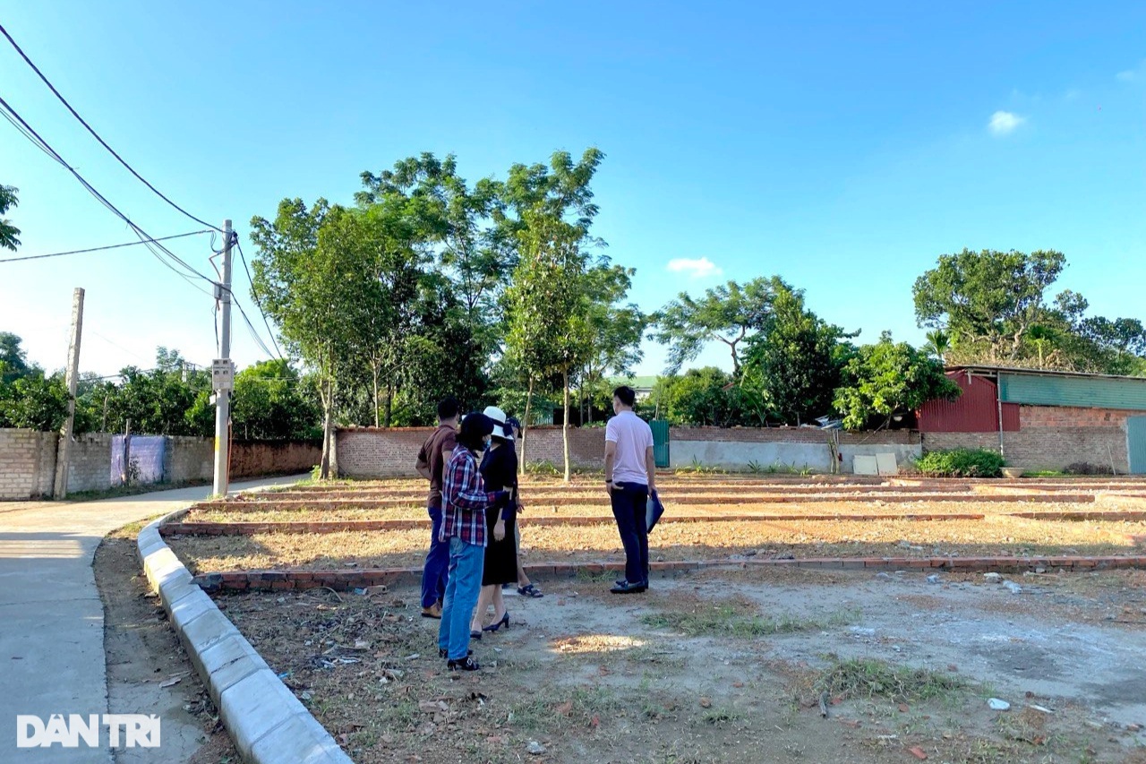 Pialang properti mengganggu pasar, menyebabkan harga melambung tinggi? - 1 Môi giới bất động sản đang làm nhiễu loạn thị trường, gây ngáo giá? - 1