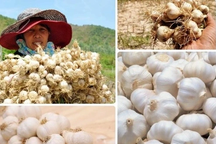 11 đề cử ẩm thực, đặc sản Việt Nam xác lập kỷ lục châu Á