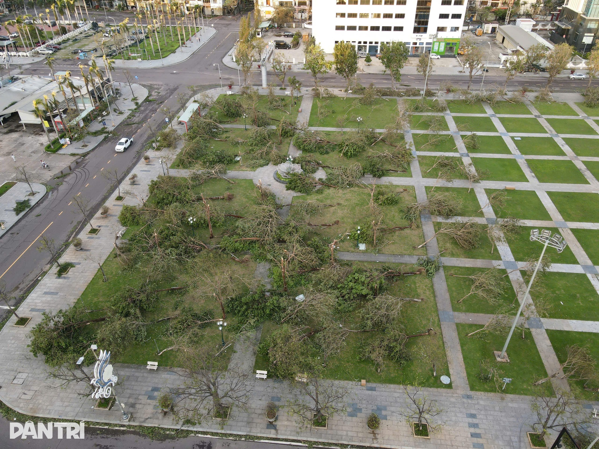 Quy Nhơn tan hoang sau bão Kalmaegi - 14 Quy Nhơn tan hoang sau bão Kalmaegi - 14