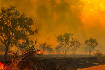 Điềm báo xấu cho tương lai nhân loại