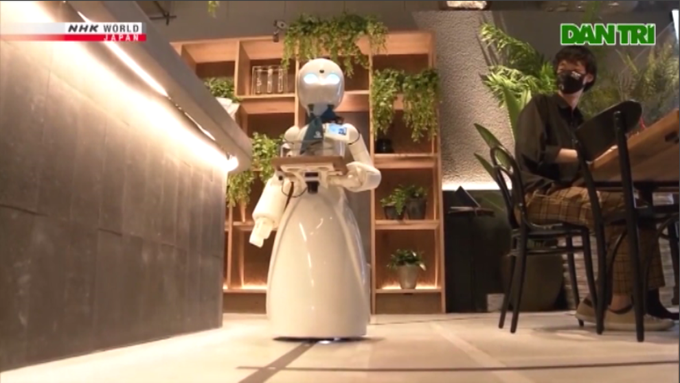 Quán cà phê có dàn nhân viên là robot ở Nhật Bản - 1 Quán cà phê có dàn nhân viên là robot ở Nhật Bản - 1