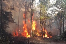 Một phụ nữ gặp nạn, tử vong khi tham gia chữa cháy rừng