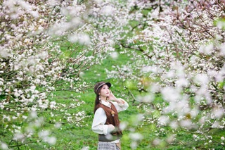 Hoa mận nở trắng Mộc Châu, du khách như lạc vào miền cổ tích - 7