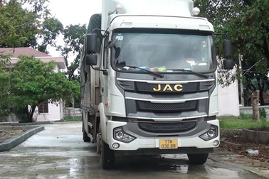 Lái ô tô tải đi trộm hàng chục con bò