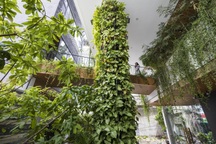 Khu vườn treo bí mật ẩn trong ngôi nhà đá ong đẹp tuyệt ở Đà Nẵng